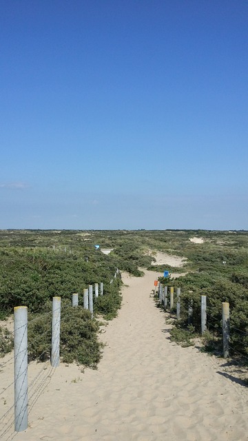 荷兰 北海 Zandvoort - 上的免费照片