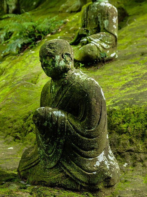 佛 雕像 苔藓 - 上的免费照片