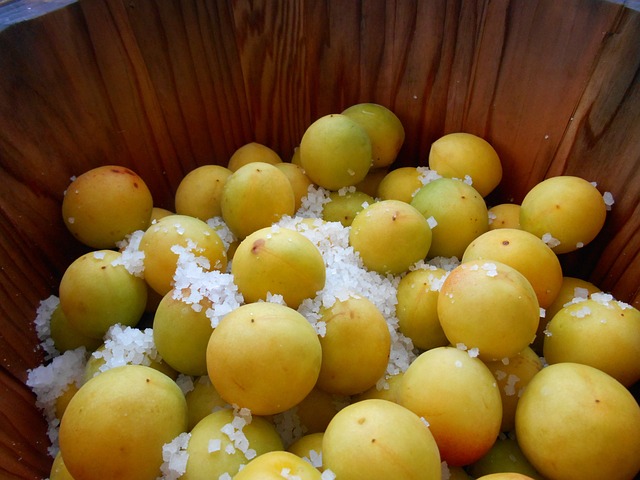 梅花 咸梅 日本 - 上的免费照片