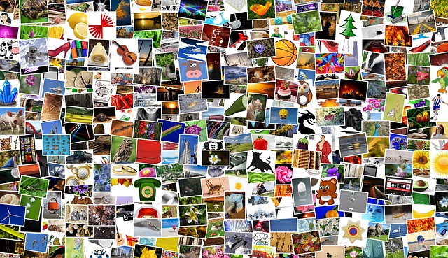 图片 照片 照片集 - 上的免费照片