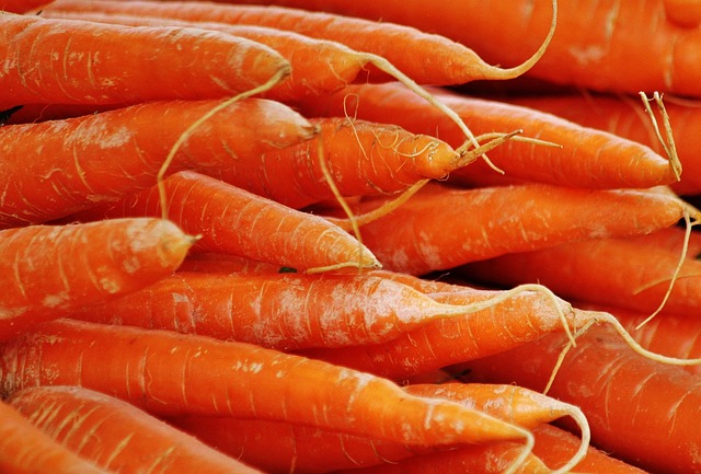 萝卜 橙色的 蔬菜 - 上的免费照片