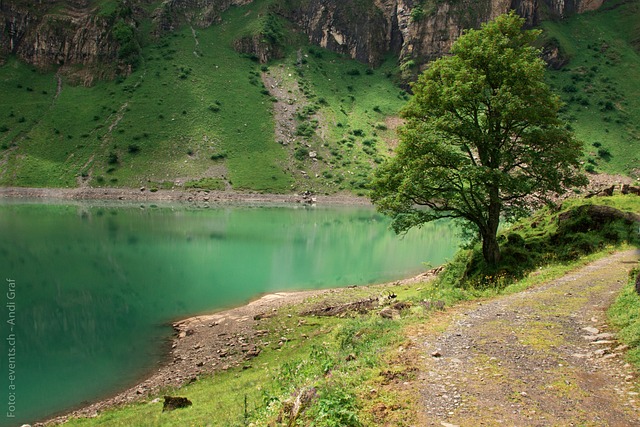 Oberblegisee 湖 高山湖泊 - 上的免费照片