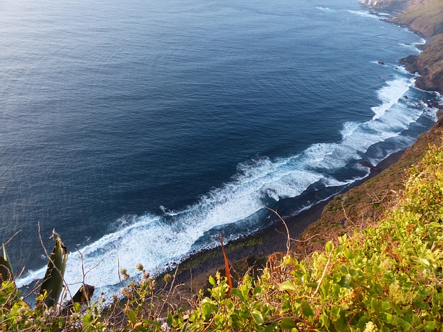 海岸 特内里费岛 加那利群岛 - 上的免费照片