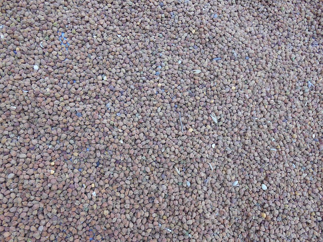 农民 Dal 食物 - 上的免费照片