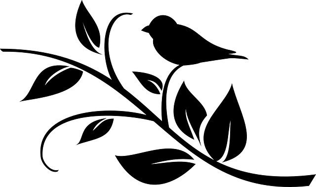 鸟 推特 科 - 免费矢量图形