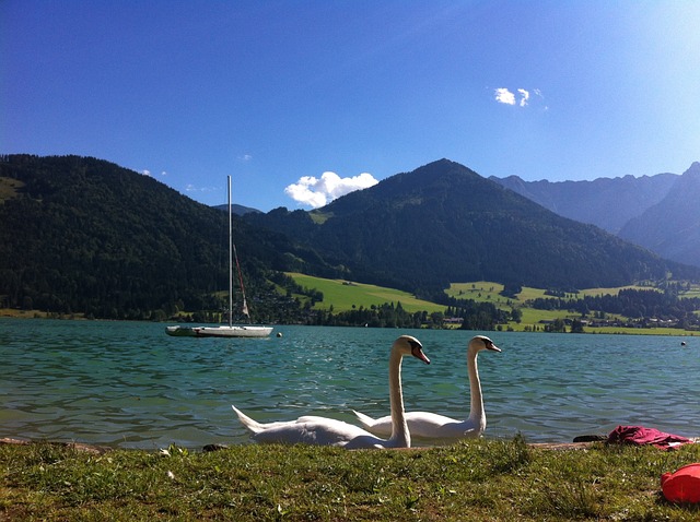 Walchsee 湖 奥地利 - 上的免费照片