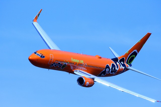 飞机 飞行 航空 - 上的免费照片