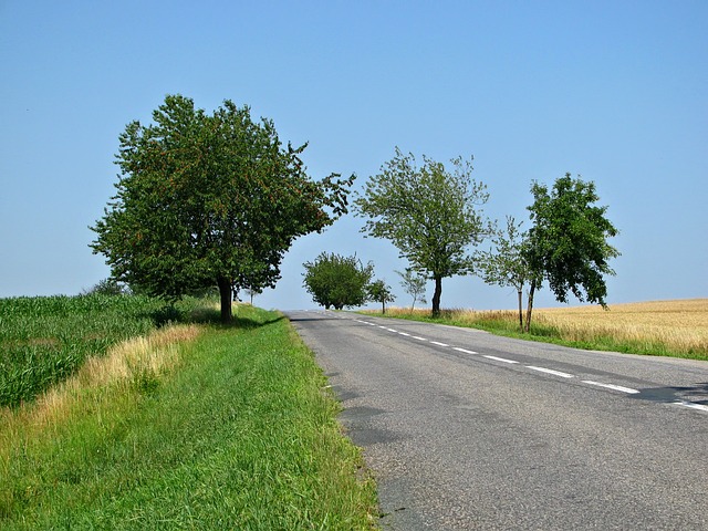 路 次要道路 乡村小路 - 上的免费照片