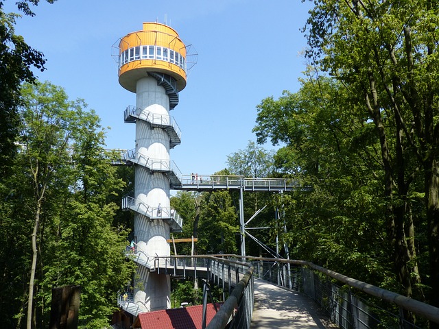 树梢路径 海尼奇 森林 - 上的免费照片