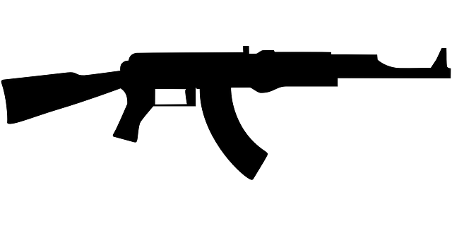 枪 武器 军队 - 免费矢量图形