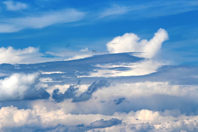 情绪 天气心情 气氛 - 上的免费照片