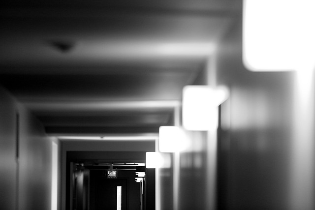 走廊 室内 灯 - 上的免费照片