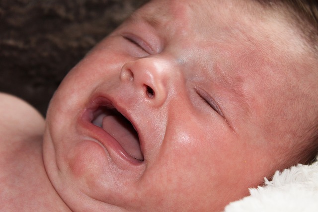 婴儿 新生儿 眼泪 - 上的免费照片