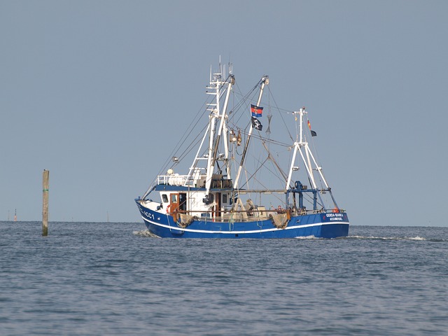 渔刀 蟹刀 北海 - 上的免费照片