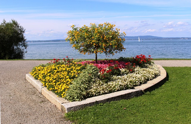 花 花坛 心的形状 - 上的免费照片