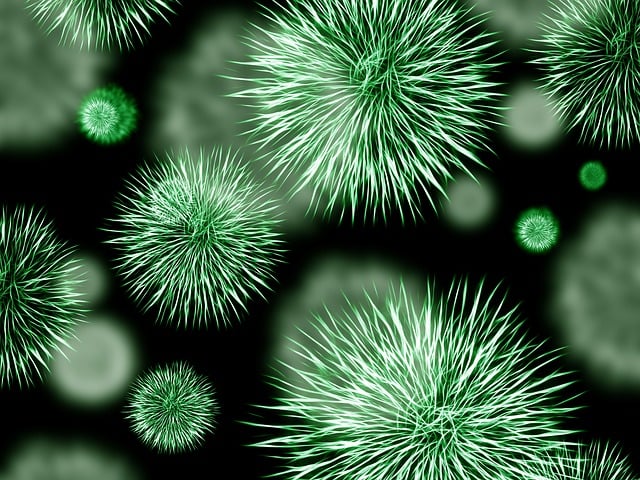 细菌 病原 感染 - 上的免费图片