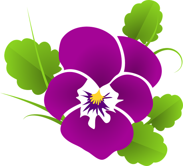 三色堇 紫色 中提琴 - 免费矢量图形