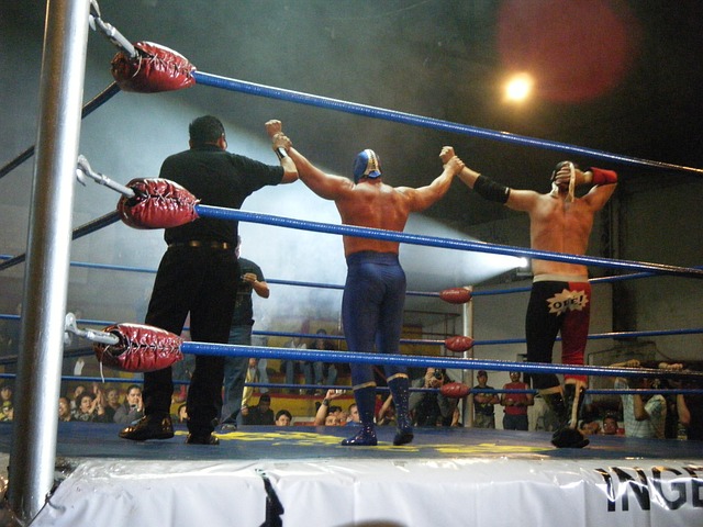 摔角 墨西哥 蓝色恶魔 - 上的免费照片