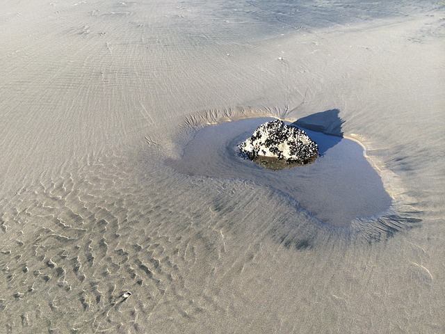 沙 海滩 海岸 - 上的免费照片