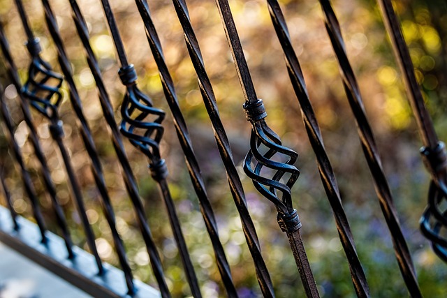 栅栏 栏杆 铁艺 - 上的免费照片