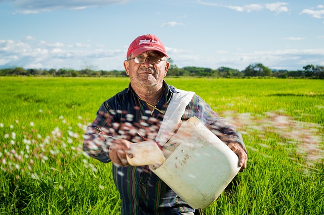 男人 农民 稻田 - 上的免费照片