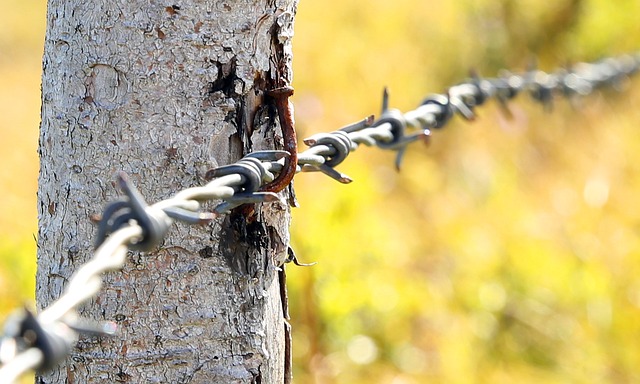铁丝网 牧场围栏 障碍 - 上的免费照片