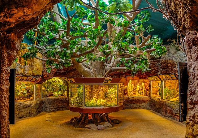 水族馆 鱼 水下 - 上的免费照片
