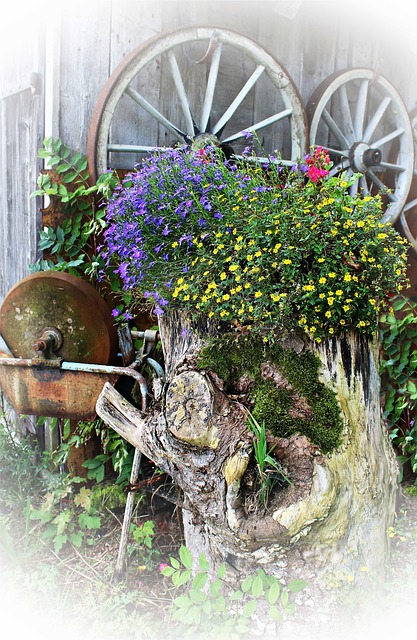 树干 花 自然 - 上的免费照片