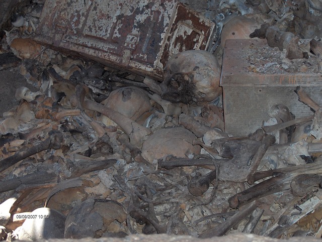 万人坑 颅骨 骨头 - 上的免费照片