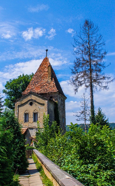 锡吉什瓦拉 房子 罗马尼亚 - 上的免费照片