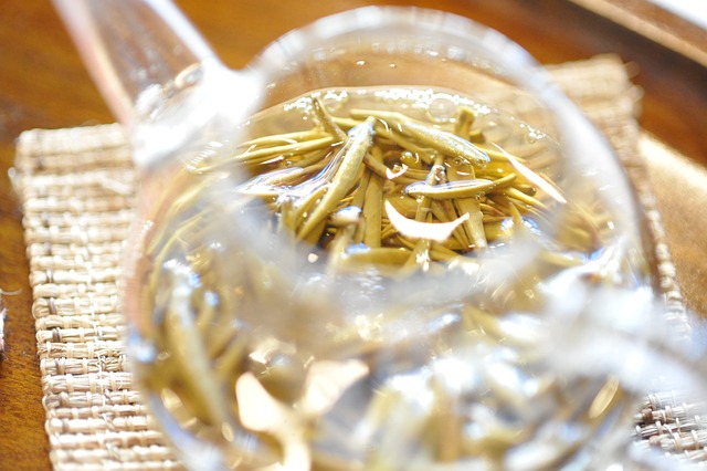 茉莉花茶 玻璃 - 上的免费照片