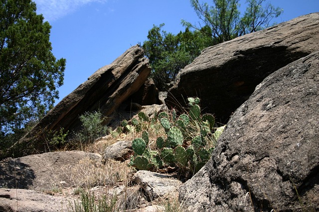 帕洛杜罗 峡谷 德克萨斯州 - 上的免费照片
