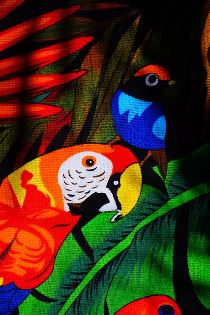 鹦鹉 红色的 鸟 - 上的免费照片