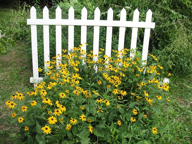栅栏 尖桩篱笆 花朵 - 上的免费照片