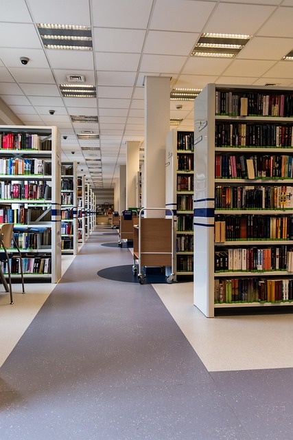 图书馆 图书 阅览室 - 上的免费照片