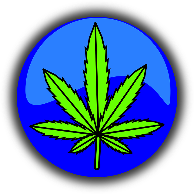 大麻 叶子 象征 - 免费矢量图形
