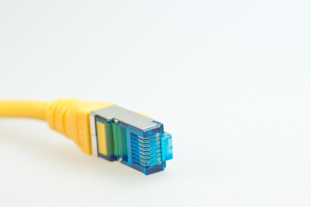 网线 Rj45 修补 - 上的免费照片