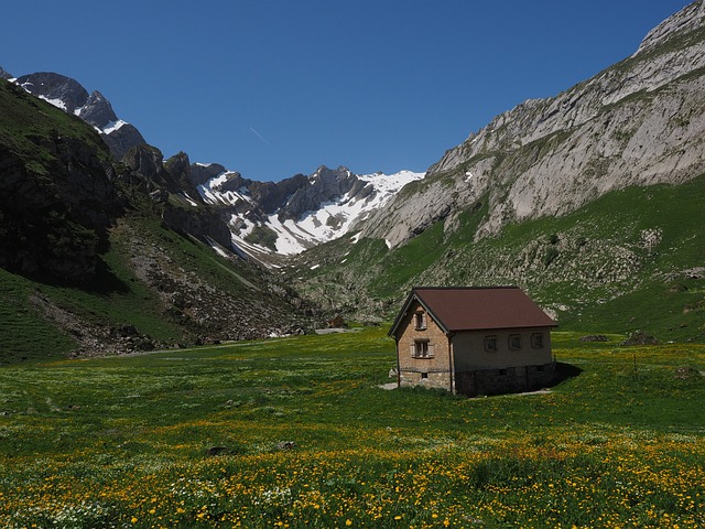 阿尔卑斯山 阿尔姆 玉髓 - 上的免费照片