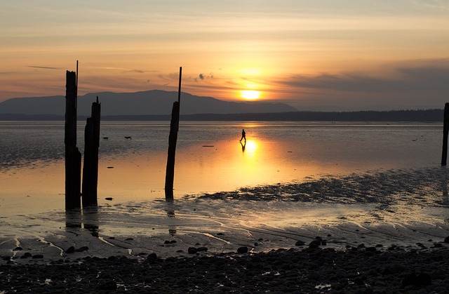 日落 贝灵厄姆湾 海滨 - 上的免费照片