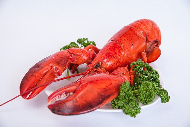虾 食品 纱布 - 上的免费照片
