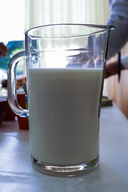 牛奶 挤奶 玻璃 - 上的免费照片