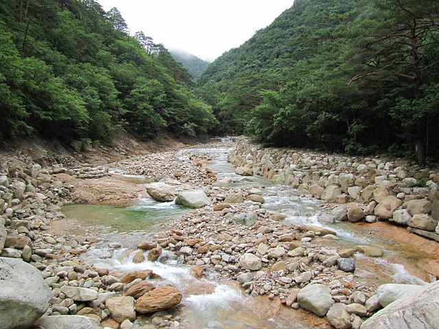 雪岳山 韩国 大韩民国 - 上的免费照片