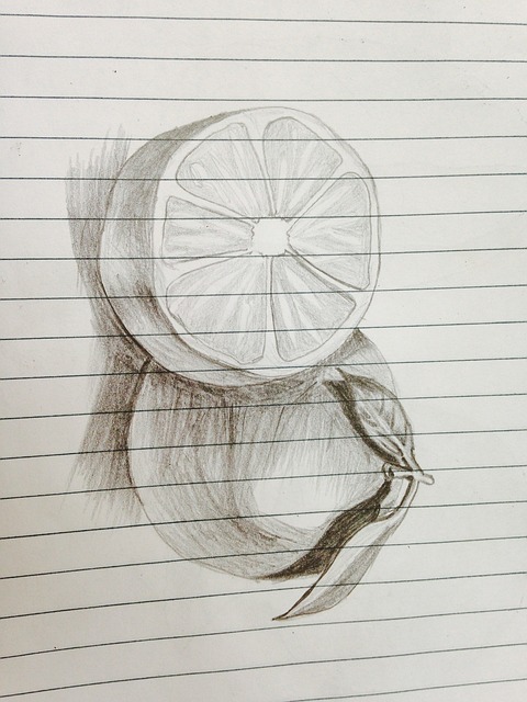 素描 橘子 - 上的免费照片