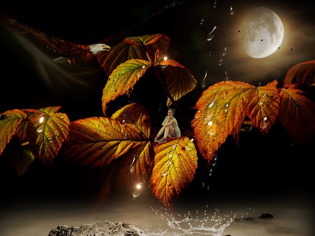 女孩 精灵 神秘 - 上的免费照片