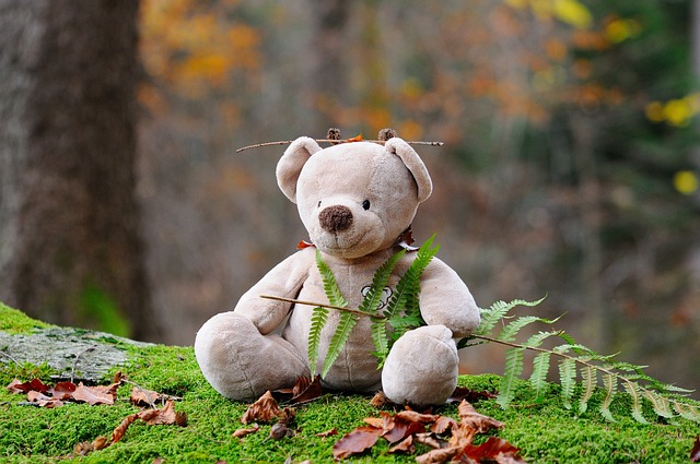 泰迪熊 熊 毛绒玩具 - 上的免费照片