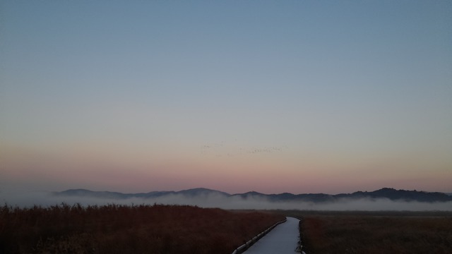 顺天湾 黎明 - 上的免费照片