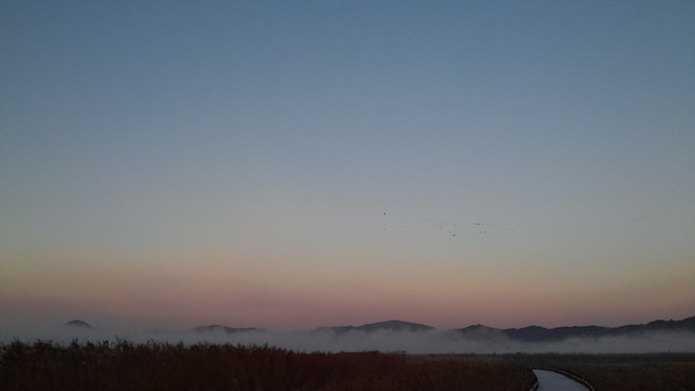 顺天湾 黎明 - 上的免费照片