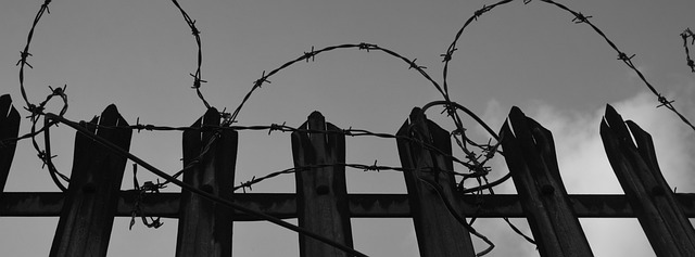 带刺铁丝网 围栏 栅栏 - 上的免费照片