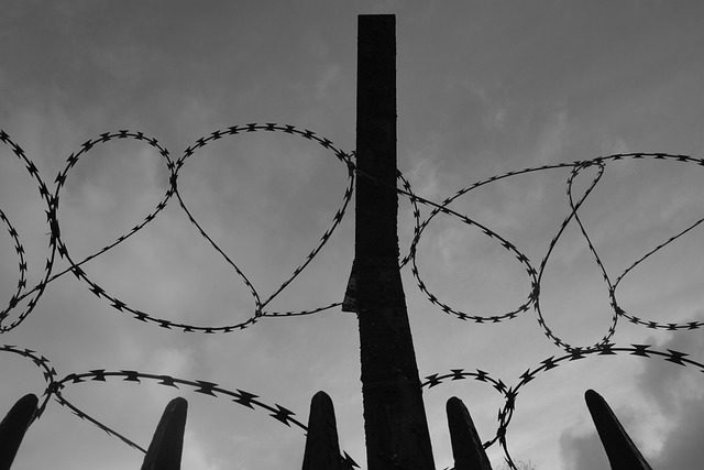 带刺铁丝网 围栏 栅栏 - 上的免费照片