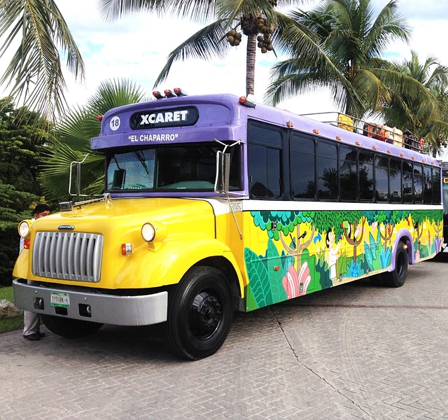 公共汽车 Xcaret 墨西哥 - 上的免费照片